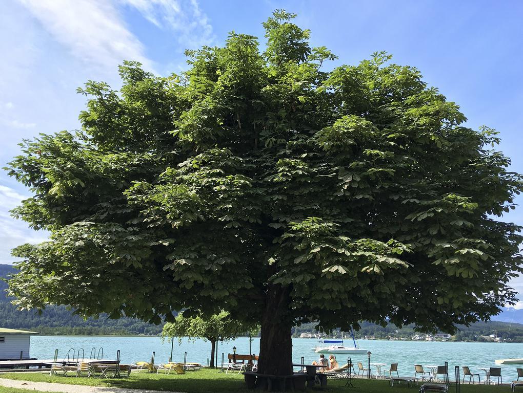 Strandhotel Kaerntnerhof Pörtschach am Wörthersee Dış mekan fotoğraf